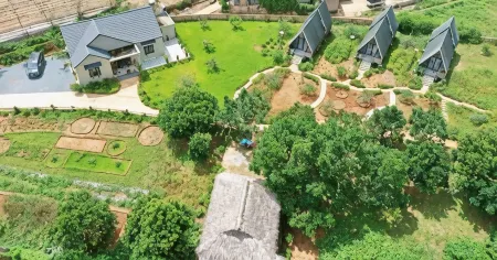 Vuon An Nhien Moc Chau Отели в г. Район Мокчау