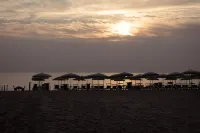 Adria Beach Hotel Hotels in Alba Adriatica