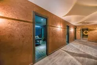 Meta Business Hotel by King David - spa