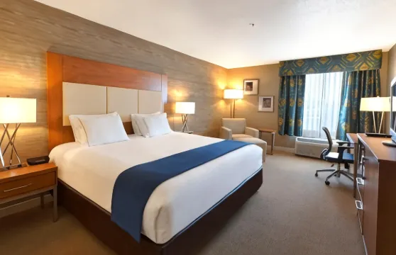 Holiday Inn & Suites 的林地