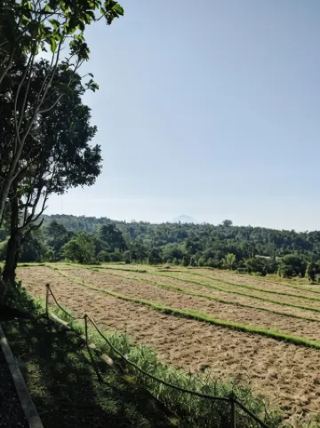 PukuPods - Tent & Cabin Отели рядом с достопримечательностью «Batukau Mountain»