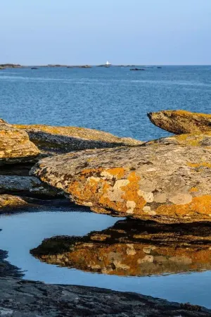 Appartement Calme et Confortable en Cœur de Ville , à 2 pas de la Grande Plage