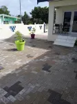 The Lush - Airport Shuttle