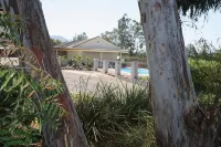 Isis Motel Scone
