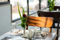 Hotel Meraden Opus - servizio colazione
