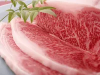 Kappo and Ryokan Yachiyo Hotel a Matsusaka