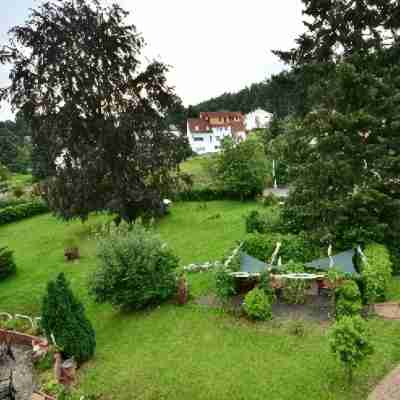 Waldesruh Wanderhotel Externsteine Hotel Exterior