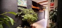 Mini Hotel San Luis Potosí - Haustierfreundliche