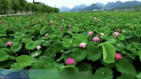Anlong Wenzhou Sunshine Hotel