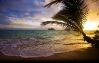 Summer DiscountsLuxurious Oceanfront Unit – Stunning Views & Top-Floor Living! - Beach