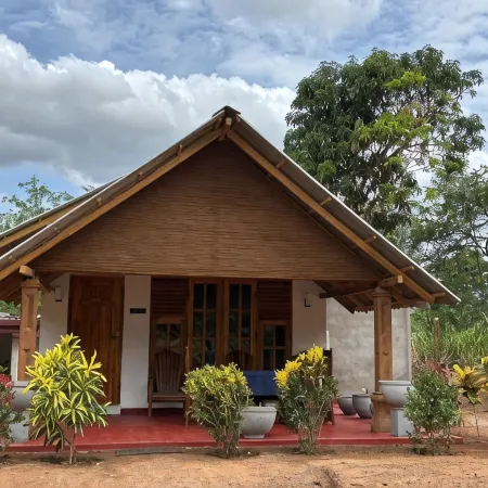 Jungle Eco Lodge & Safari
