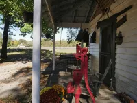 Mulberry Lavender Farm and B&B