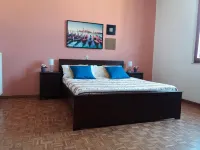Near To Pisa Airport Guest-House - Hotel/Alloggi familiari