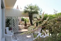 Hotel Bencista'