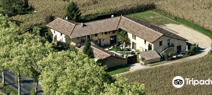 Hostellerie des Bichonnieres Hotels in Ain