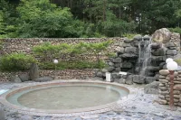 Chungju Suanbo Park Hotel - Hot Springs