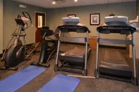 Holiday Inn Express & Suites YOUNGSTOWN (N. LIMA/BOARDMAN) by IHG - Gym