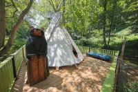 Tiny House w/Creek and Eagles