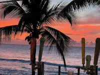 Dreaming of a tropical US getaway? - Homestays