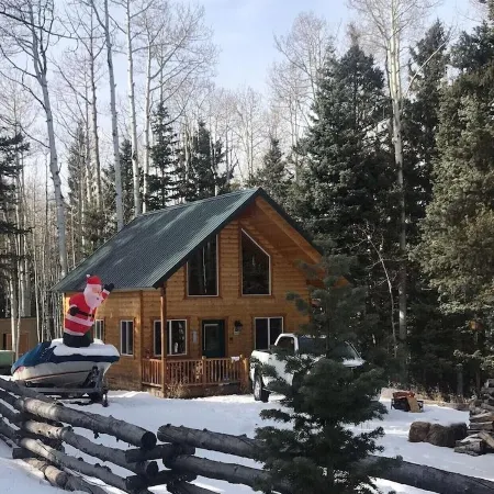 Cabin in the Pines surrounded by fun