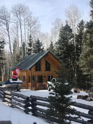 Cabin in the Pines surrounded by fun