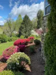 Asheville fresh mountain air - Wifi