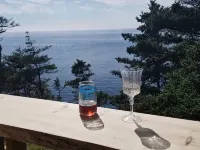 Oceanfront mini home, two decks, with spectacular views. Hotele w: Clare