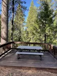 Spacious, Family Friendly, Hot Tub, Game Room, Forest View, Fireplace, 2 decks