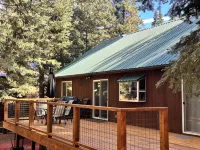 Tahoe Donner Mountain Retreat: Fire Pit, Beach Club, and Trails - ビーチサイド