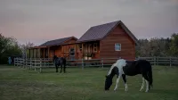 Kara Creek Ranch - Double Bed Cabin with Kitchen #7