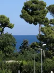 Cottage in the green, a stone's throw from the sea