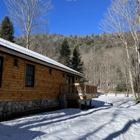 NEW ADIRONDACK LUXURY CABIN WITH YEAR-ROUND HEATED PLUNGE POOL