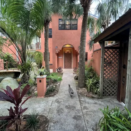 The Studio at Casa Cascada. A ground floor studio suite in a stunning oasis