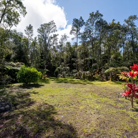 Tranquil private home 5 minutes to Hawai'i Volcanoes National Park