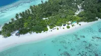 Avenly Omadhoo - Bintang 3