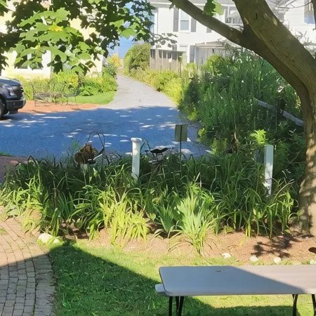BAYSIDE BUNGALOW