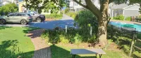 BAYSIDE BUNGALOW - Wifi