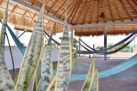 Carri Surf Studio