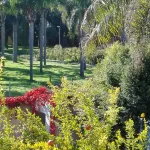 Acqua Chiara Elegant Villa with Garden with Etna View a Stone's Throw from the Sea -  Holiday Villas