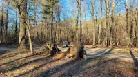 AMRock Cabin - Direct access to Ouachita National Forest and Wolf Pen Gap - Chalets