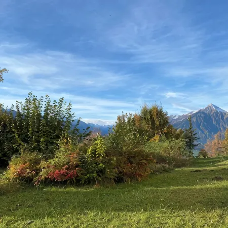 Apartment with Great View in a  Hotel with Pool, Sauna and Fitness