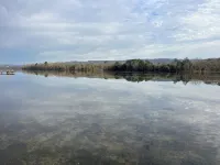 The Dogwood Cottage on Lake Guntersville