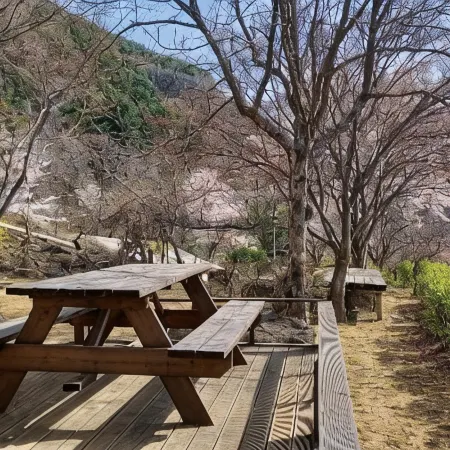 Morning Pension in Gimcheon Mountain