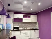 Osipov Hotel - 2성급