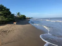Territorio Magico - Ocean View