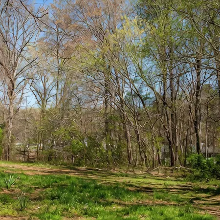 3-Bedroom House Near Deep River, Toyota Megasite, NC Zoo & Zoo Sports Complex