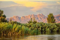 Billy the Kids getaway in heart of Historical Mesilla Plaza, N.M. -  Appartamenti vacanze