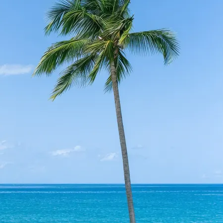Roadside Apartment of Beachfront Property! AC & WiFi