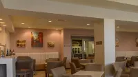 Hampton Inn by Hilton Zacatecas - bar