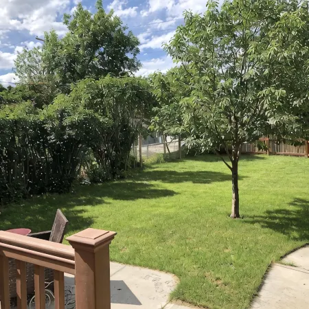 Cody's Downtown Den - DOWNTOWN - New listing & Pets Welcomed!